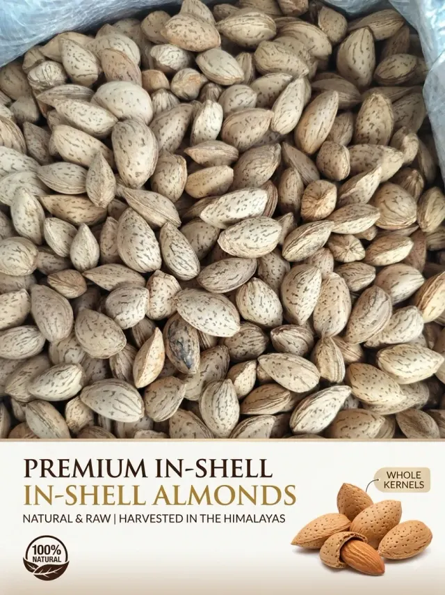 Kashmiri Badam In shell 1kg