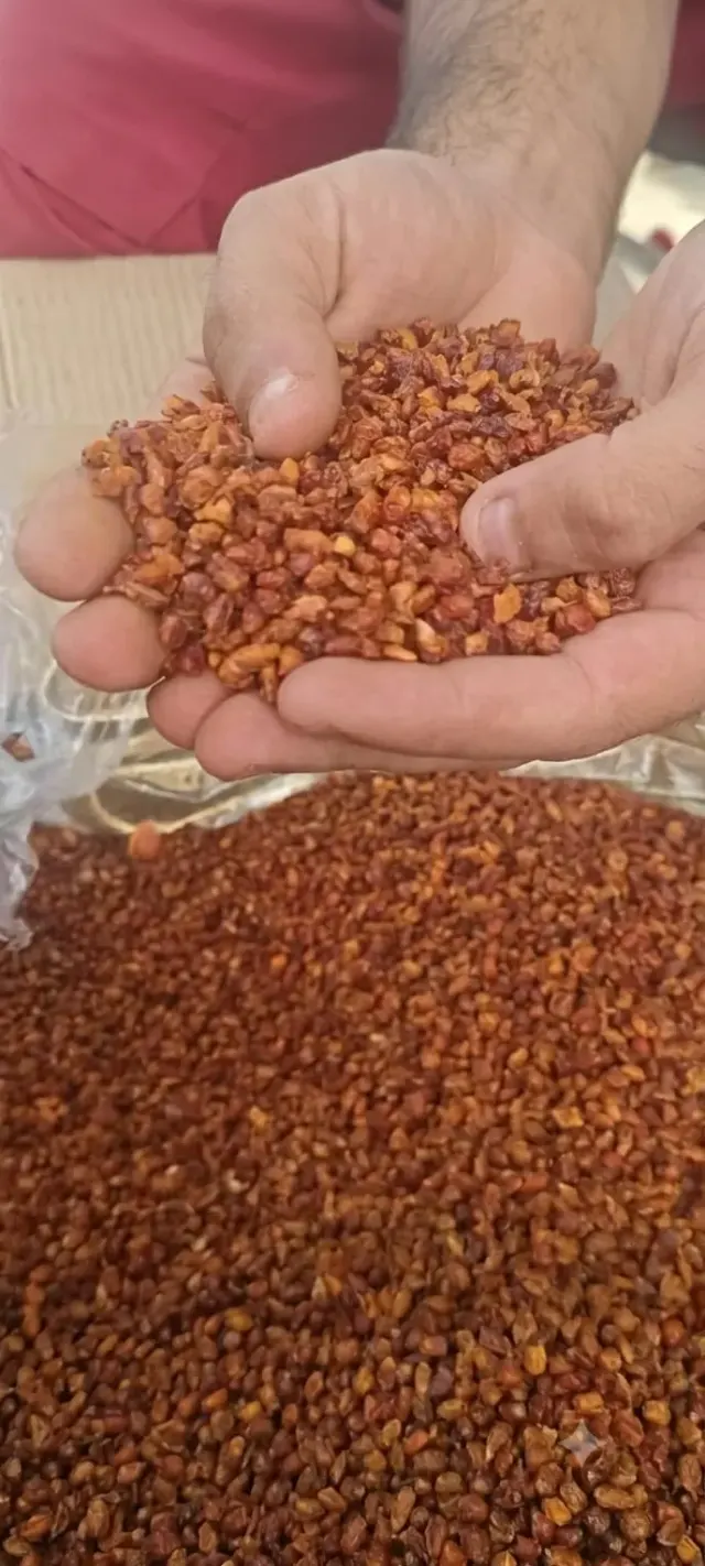Seabuckthorn