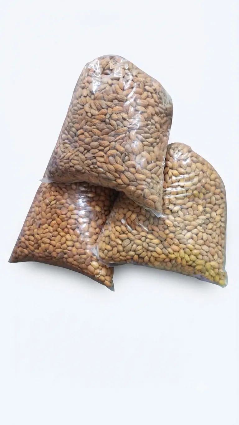 Kashmiri mamra Badam — view 4